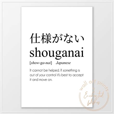 shoganai significado|Street Japanese 02